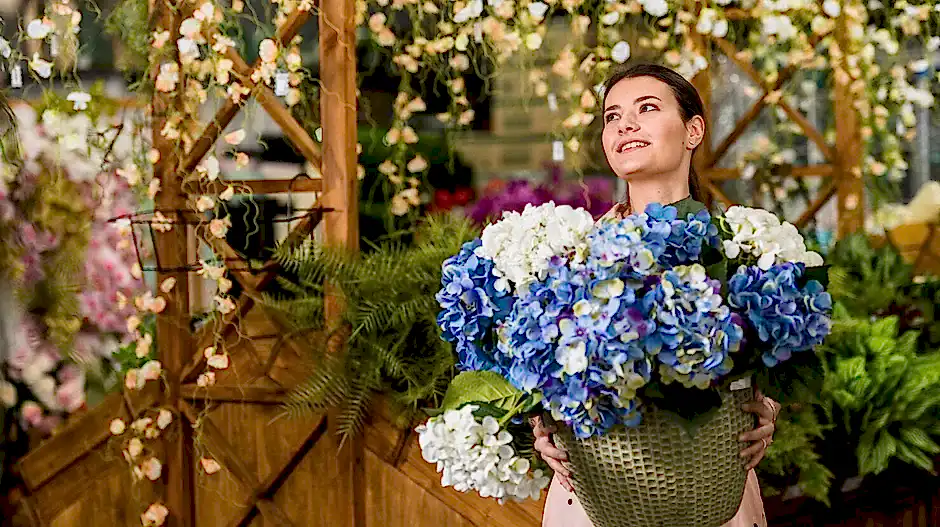 Terazi Burcu Çiçekleri - Terazi Burcu Çiçek Önerileri