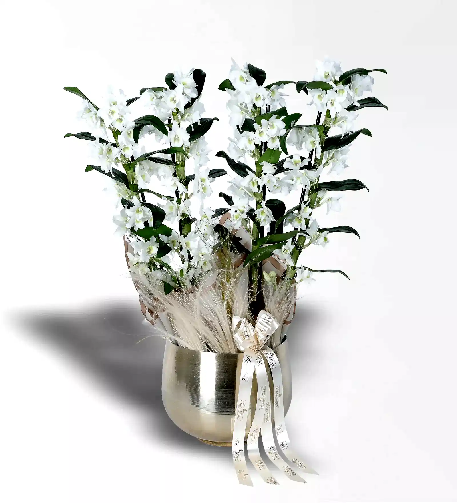 Gold Metal Saksıda 4 Dallı Bambu Orkide (Dendrobium) Aranjmanı