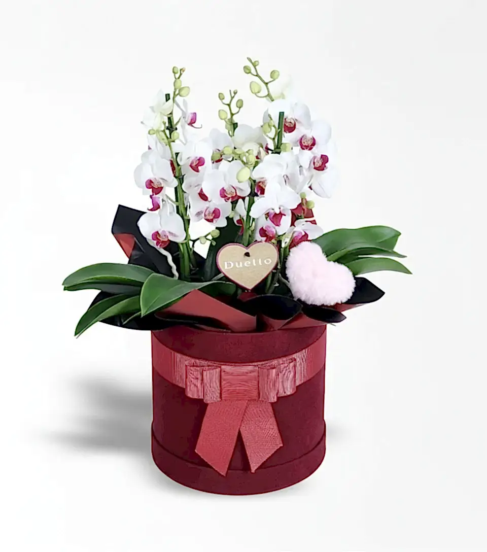 Bordo Kutuda Redlips Duetto Orkide Ve Peluş Pembe Kalp