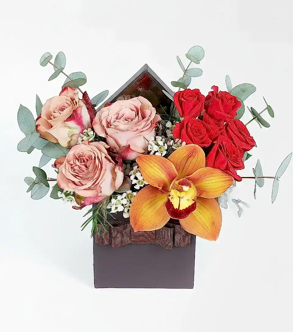 Capucino Gül, Cybidium Orkide ve Çardak Güler