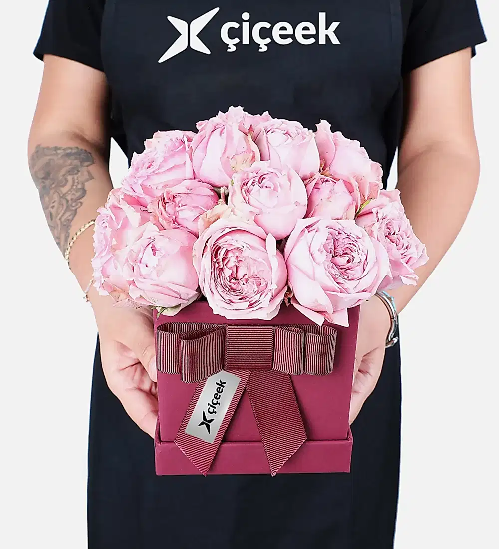Bordo Kutuda Çardak Pembe Şakayık Güller