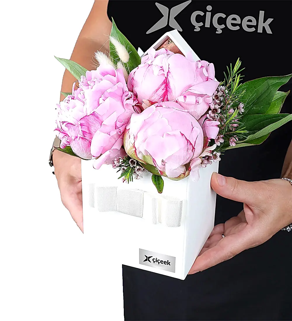 Krem Kutuda Pembe Şakayık Ve Wax Çiçeği