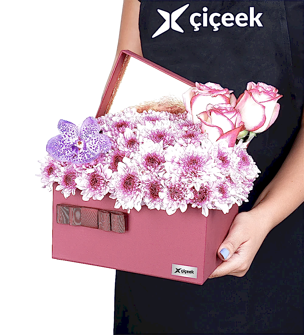 Pembe Papatya Ve Vanda Mor Orkide XL