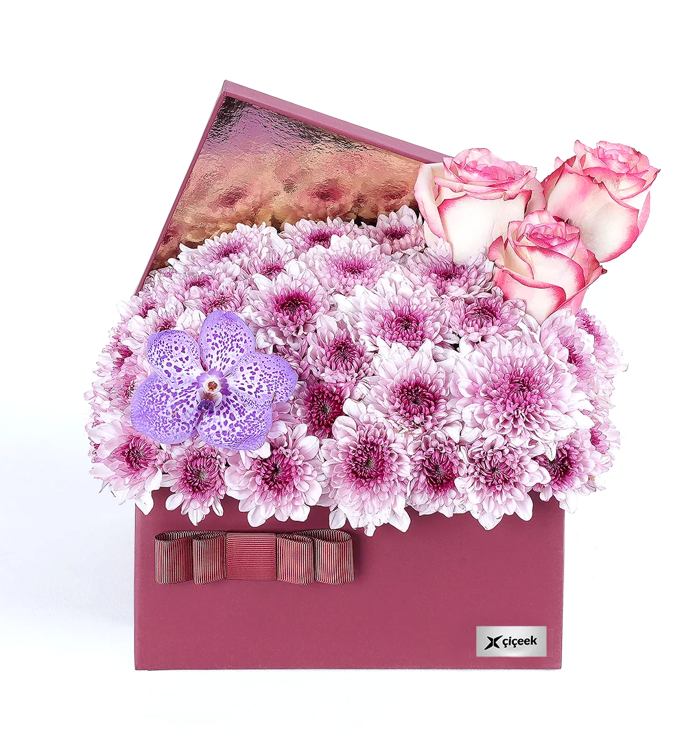Pembe Papatya Ve Vanda Mor Orkide XL