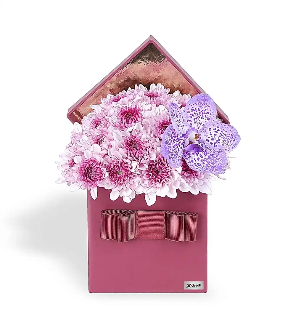 Pembe Papatya ve Vanda Mor Orkide